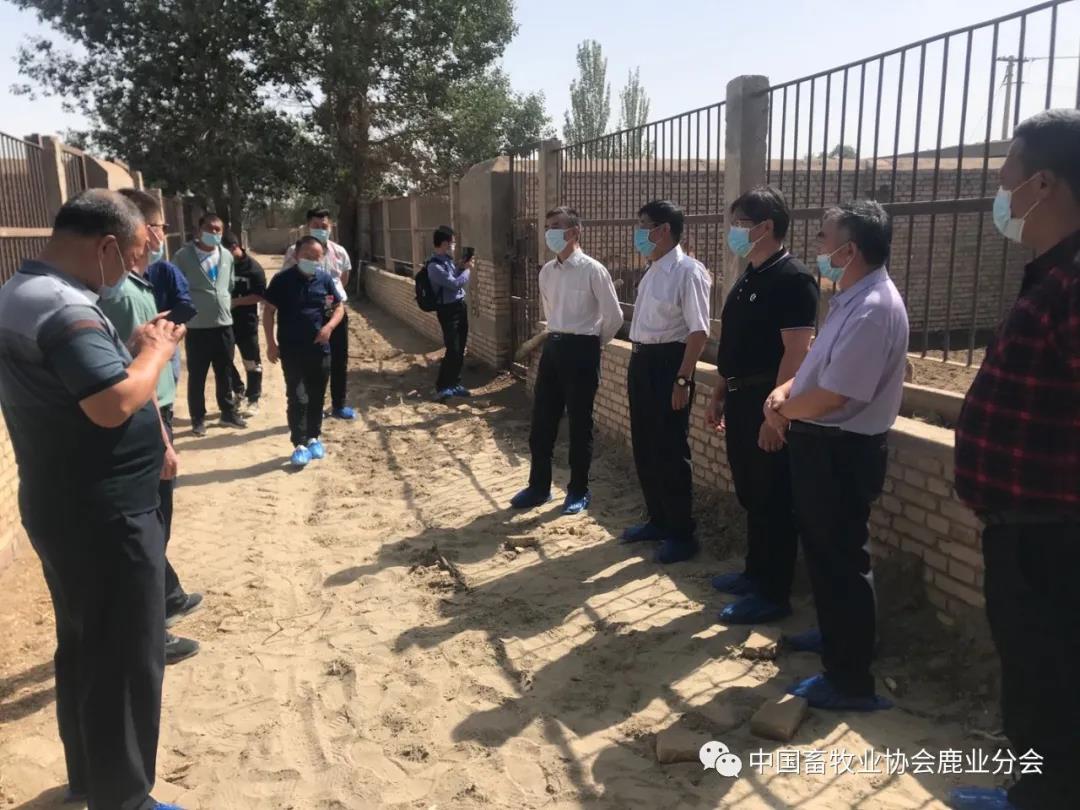 第二师铁门关市塔里木马鹿产业发展协会成立